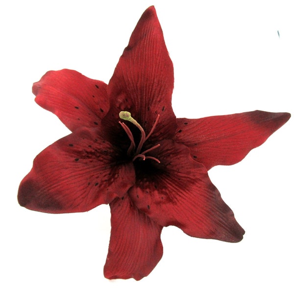 Red Tiger Lily Etsy