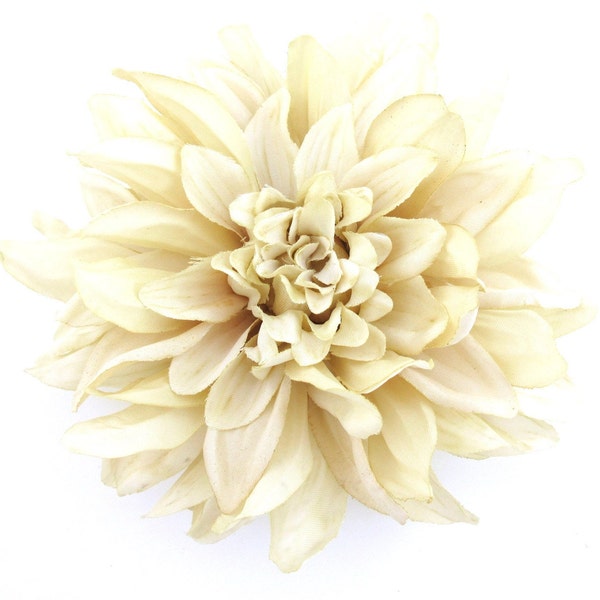 Large 6" Variegated LIght Cream White Dahlia Poly Silk Flower Hair Clip