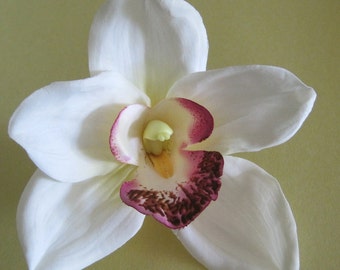 Large Cream White Orchid Silk Flower Hair Clip