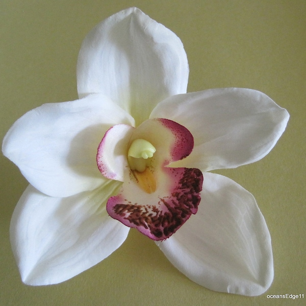 Large Cream White Orchid Silk Flower Hair Clip