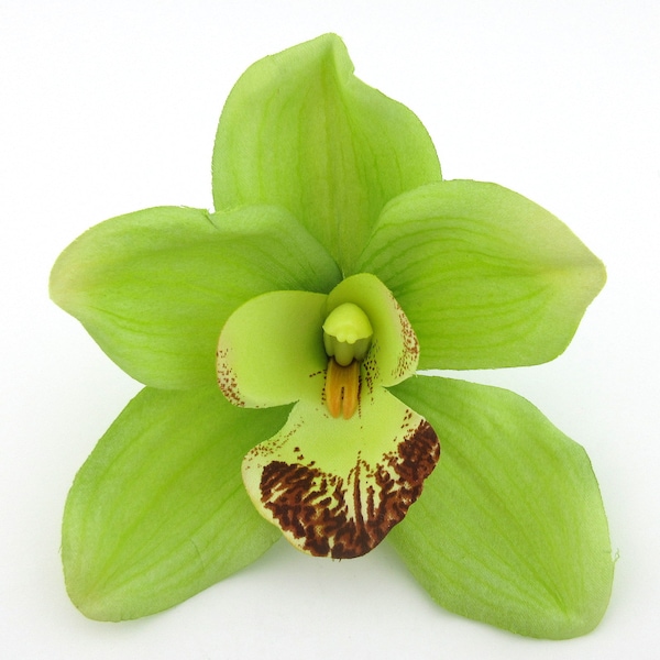 Large Tropical Lime Green Orchid Silk Flower Brooch Pin