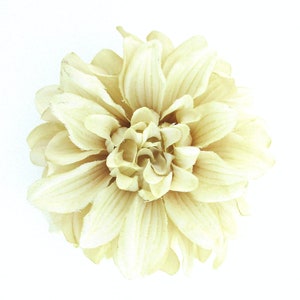 4.5&quot; Variegated Light Cream White Dahlia Poly Silk Flower Brooch Pin
