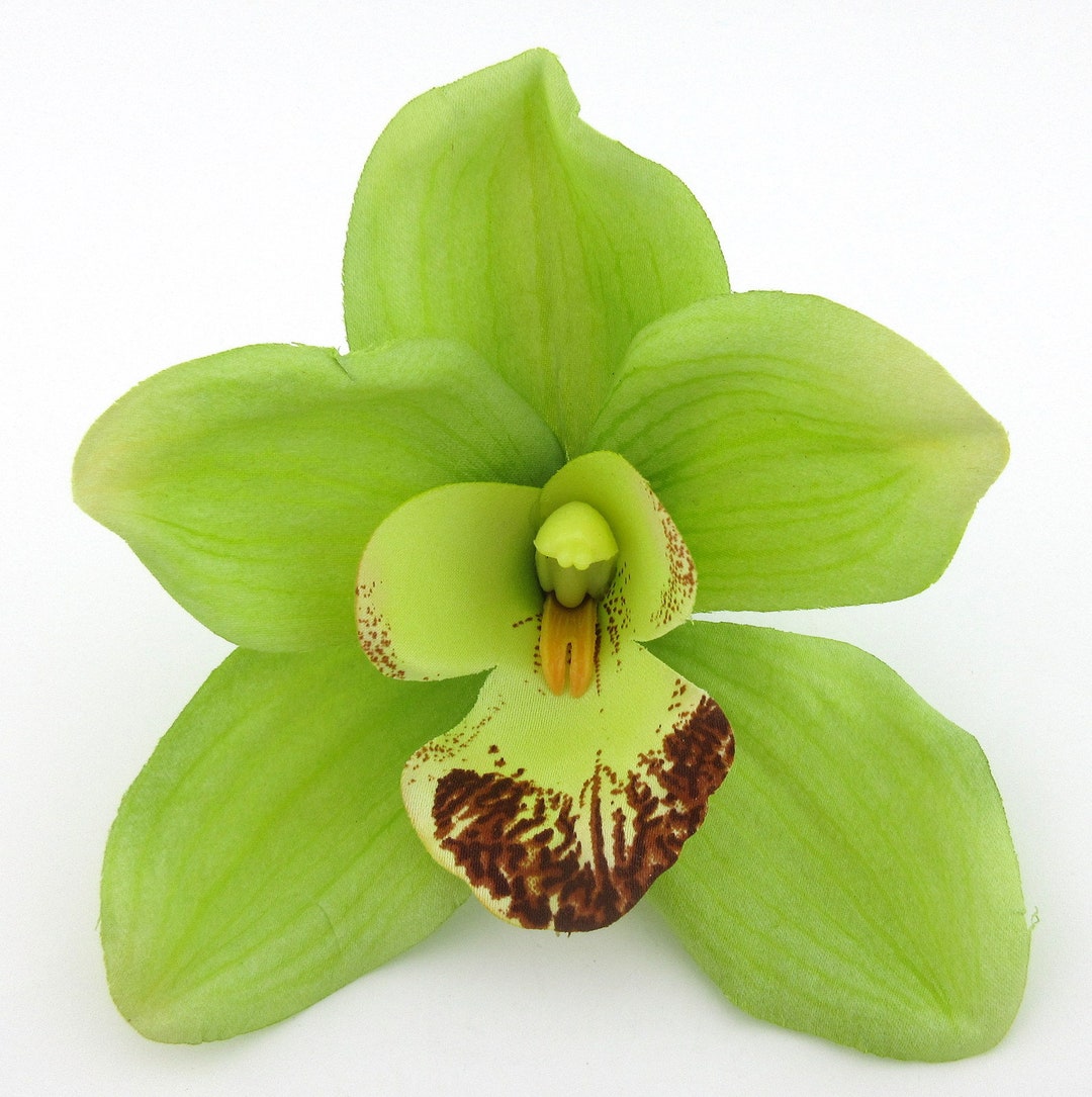 Large Tropical Lime Green Orchid Silk Flower Hair Clip Etsy