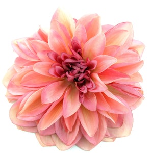 Große rosa cremefarbene Dahlien-Seidenblumen-Haarspange, 17,8 cm, Teller-Stil