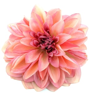 Large Pink Cream Dahlia Silk Flower Hair Clip 7" Dinner Plate Style