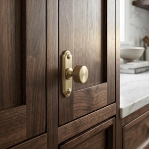May include: Close-up of a brass cabinet knob with a ridged cylindrical handle and a rectangular backplate. The knob is mounted on a dark brown wooden cabinet door. The cabinet door has a recessed panel design.