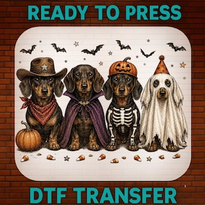 Peut inclure: Un transfert DTF représentant quatre teckels en costumes d'Halloween. L'un porte un chapeau de cow-boy et un bandana, un autre une cape violette, un troisième un costume de squelette avec un chapeau citrouille, et le dernier un drap de fantôme.