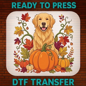 May include: A DTF transfer featuring a golden retriever sitting behind a large orange pumpkin, surrounded by autumn leaves in shades of red, orange, and yellow. The text READY TO PRESS and DTF TRANSFER is printed in teal on the top and bottom.