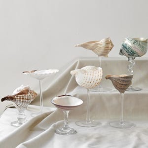 Puede incluir: Una variedad de copas decorativas de conchas marinas. Cada copa presenta un diseño único de concha marina, con variaciones de color y textura. Las copas se exhiben sobre una superficie blanca, creando un tema costero.