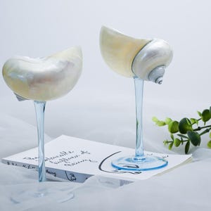 May include: Two decorative wine glasses, each featuring a nautilus shell bowl and a clear blue stem. They rest on a book with handwritten text. A sprig of green leaves is in the background. The shells have a pearlescent finish.