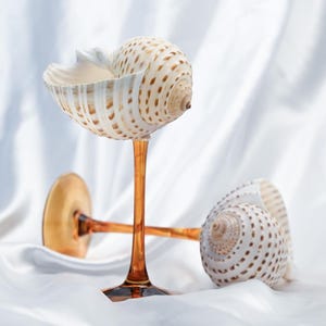 May include: Two decorative wine glasses with amber stems and seashell bowls. One glass stands upright, the other is lying on its side. The seashells are white with brown spots, set against a white, silky background.
