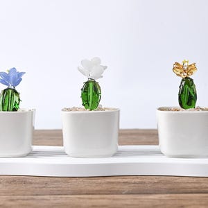 Handmade Glass Cactus Succulent | Plant Lover Gift