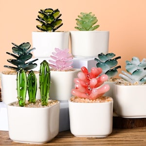 Mini Glass Cactus Pots Set |  Fused Glass Succulents | Cactus Lover Gift | Artificial House Plant | Car Decoration Set | Miniature Figurines