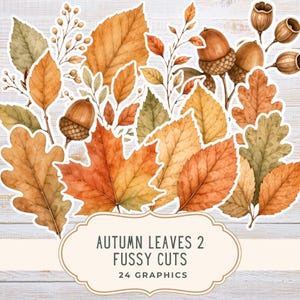 Op de afbeelding: Een verzameling herfstbladeren en eikels in aquarel-stijl met witte randen, met diverse vormen en tinten oranje, bruin en groen. Een beige label onderaan toont de tekst AUTUMN LEAVES 2 FUSSY CUTS 24 GRAPHICS.