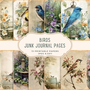 Birds Junk Journal Kit | Vintage Bird Digital Paper | Watercolor Scrapbooking Ephemera | Floral Nature Printable | Spring Junk Journal Pages