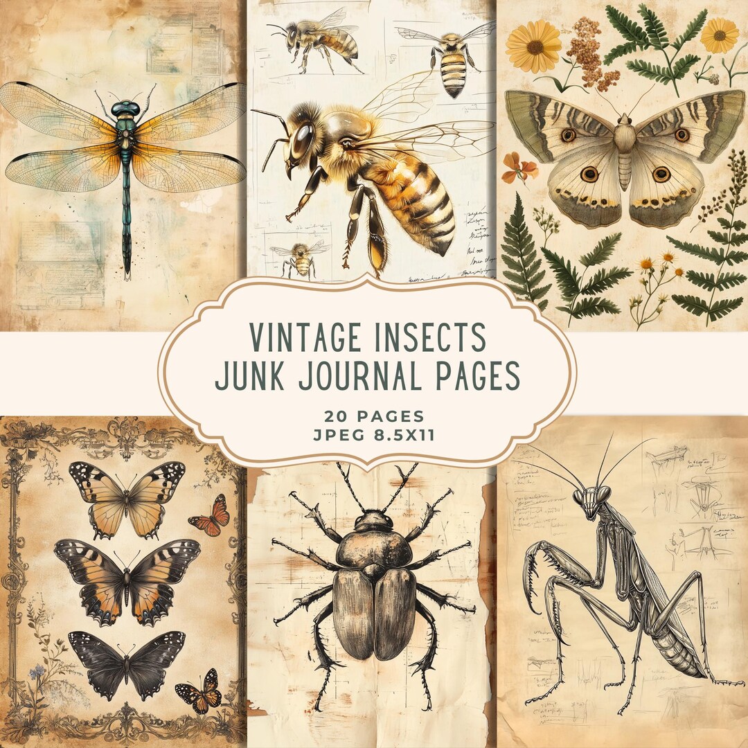 Printable Insect Journal Junk Journal Kit Vintage Insects, Botanical Printable Pages, Nature ...