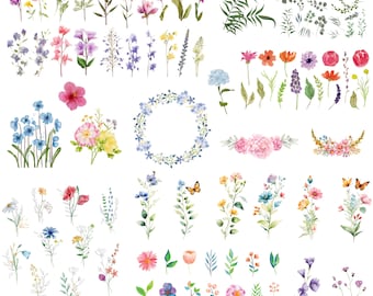 Watercolor Birthday Month Flower Clipart Bundle: Wildflower PNG Designs (Digital Download)