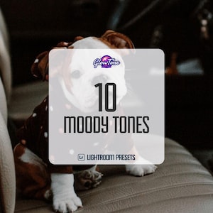 Preset Collection of Moody Tones , The Best Offer on Lightroom Preset Bundle for Instagram with MOODY Bundle Presets for Desktop and Mobile