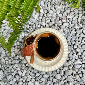 Op de afbeelding: Een bovenaanzicht van een kopje zwarte koffie op een schotel, met een rood en bruin handvat. Een kaneelstokje en een gedroogde sinaasappelschijf liggen op de schotel. De kop en schotel staan op een bed van grijze kiezels, met groene varenbladeren op de achtergrond.