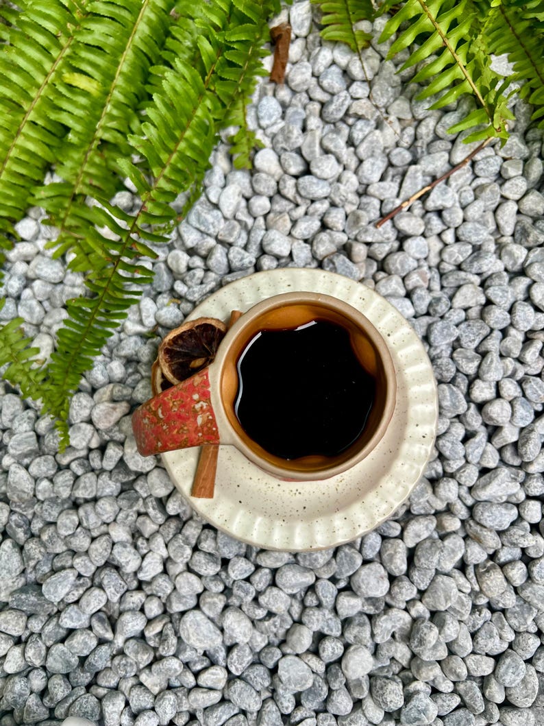 Op de afbeelding: Een bovenaanzicht van een kopje zwarte koffie op een schotel, met een rood en bruin handvat. Een kaneelstokje en een gedroogde sinaasappelschijf liggen op de schotel. De kop en schotel staan op een bed van grijze kiezels, met groene varenbladeren op de achtergrond.