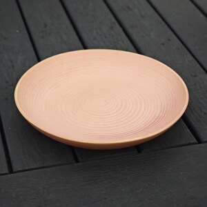 May include: A round, blush-colored ceramic plate with a textured, concentric circle design. The plate has a slightly raised rim and a warm, earthy tone, suitable for serving food.