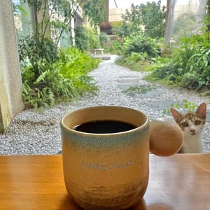 May include: A ceramic mug filled with dark liquid, possibly coffee, sits on a wooden tray. The mug has a tan base with a blue-green rim and a wooden handle. The text "Feeling Dandy" is printed on the mug. A cat is visible in the background.