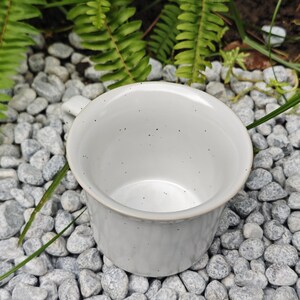 May include: A white ceramic mug with a speckled interior and a textured exterior. The mug has a handle and sits on a bed of small grey stones, with green foliage in the background.