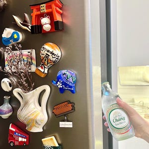 Op de afbeelding: Een verzameling kleurrijke koelkastmagneten, waaronder een rode dubbeldekkerbus, een Japanse torii-poort met een kat en een blauwe olifant. Een fles Chang Soda Water wordt in de hand gehouden.