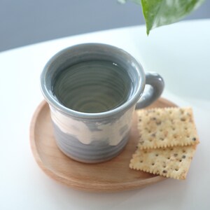 May include: A blue and white ceramic mug filled with water, on a small wooden plate. Two crackers sit beside the mug. The mug has a handle. A green plant leaf is visible in the background. The plate is round.