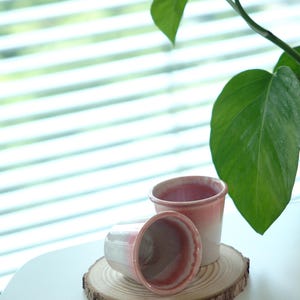 May include: Two small, handmade ceramic pots with a pink and white gradient, resting on a wooden slice. The pots are cylindrical with a slightly flared rim. A green plant with large leaves is in the background.