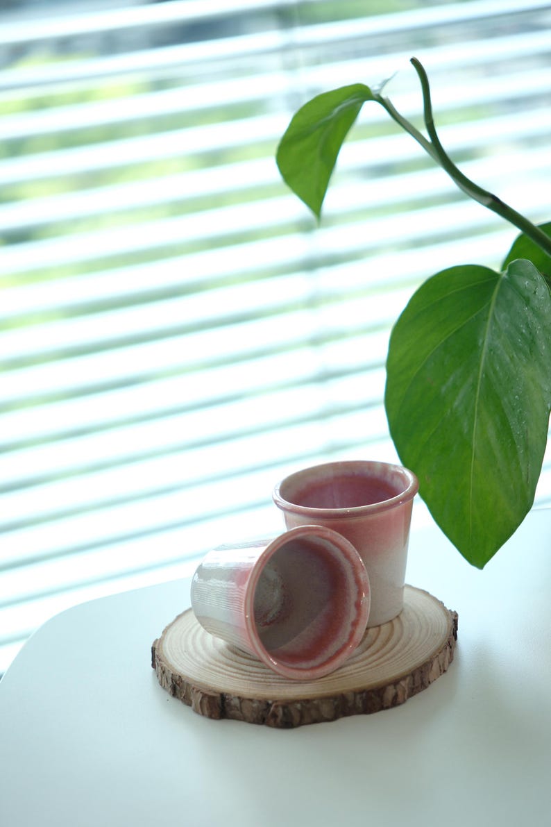 May include: Two small, handmade ceramic pots with a pink and white gradient, resting on a wooden slice. The pots are cylindrical with a slightly flared rim. A green plant with large leaves is in the background.
