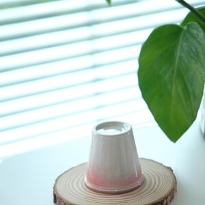 May include: A ceramic cup with a gradient pink and beige finish, resting upside down on a round wooden coaster. The coaster is made from a cross-section of a tree trunk. A green plant is in the background.