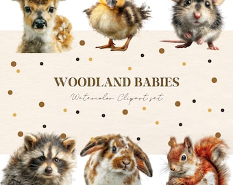 Watercolor Woodland Animals Clipart: Baby Shower & Nursery Decor (PNG Files)