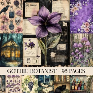 Pu&ograve; includere: Un collage di illustrazioni ad acquerello a tema botanico gotico. Include un grande fiore viola, funghi, un corvo, bottiglie di pozioni e il testo "GOTHIC BOTANIST - 98 PAGES". La tavolozza dei colori presenta viola, verdi e crema.