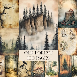 May include: A collection of 100 pages featuring watercolor-style forest illustrations, including pine trees, rocky cliffs, owls, mushrooms, and ravens on aged paper backgrounds. The central text reads OLD FOREST - 100 PAGES in black lettering.