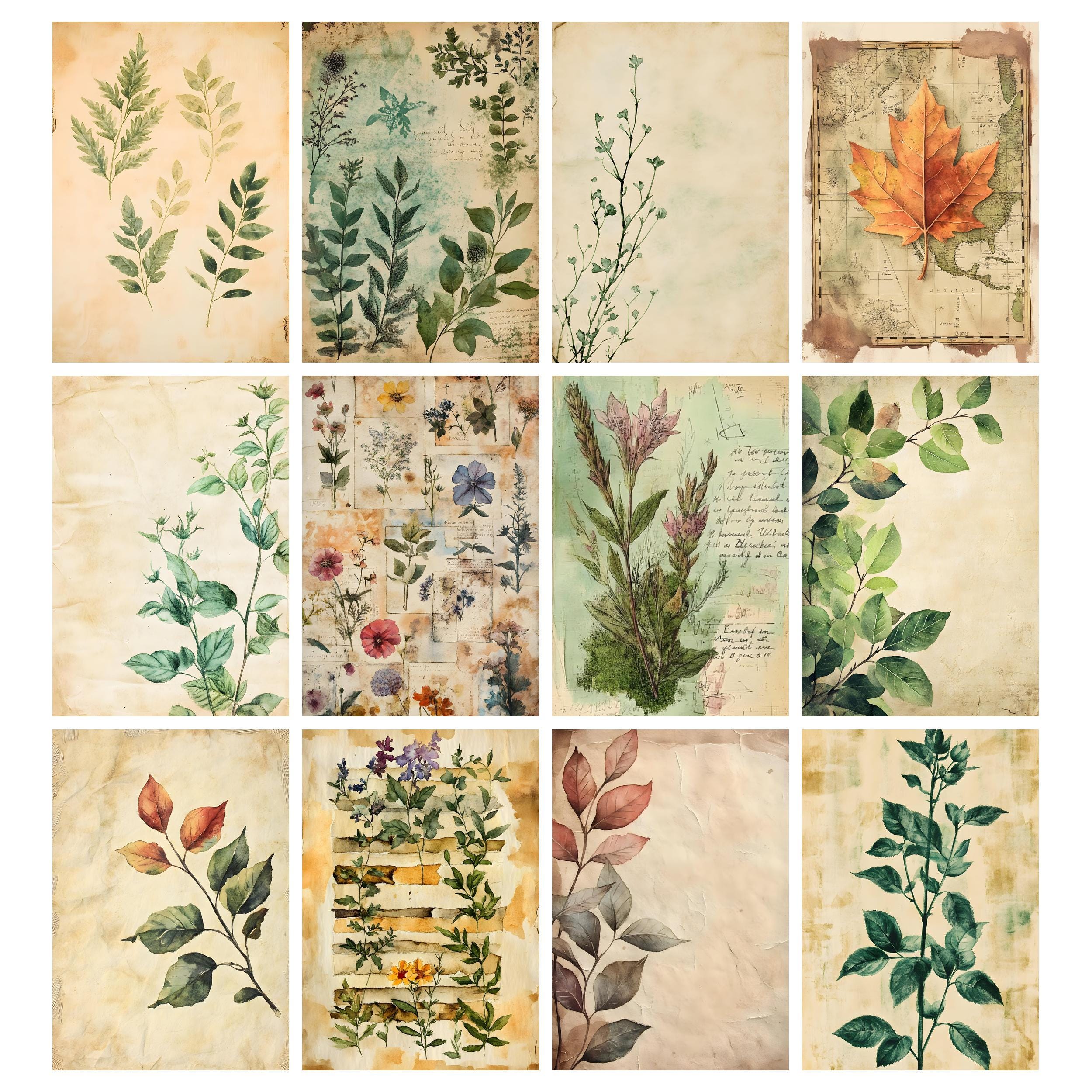Botanical Green Junk Journal Printable Pages, Rustic Herbs Pages ...