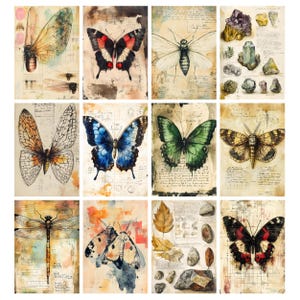 May include: A collection of twelve vintage-style prints featuring detailed illustrations of insects, butterflies, and crystals. The artwork is set against a backdrop of aged paper with handwritten notes and scientific diagrams, showcasing a blend of nature and scientific study.