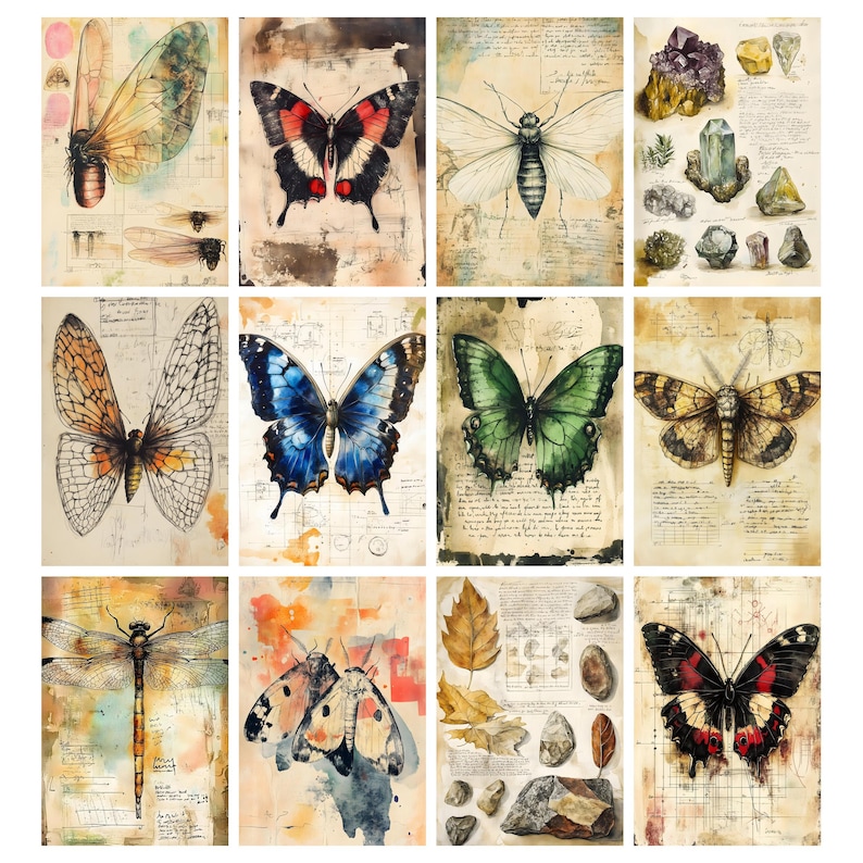 May include: A collection of twelve vintage-style prints featuring detailed illustrations of insects, butterflies, and crystals. The artwork is set against a backdrop of aged paper with handwritten notes and scientific diagrams, showcasing a blend of nature and scientific study.