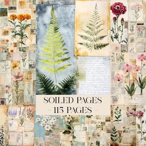 Könnte beinhalten: Eine Collage aus botanischen Illustrationen und Vintage-Ephemera. Das zentrale Bild zeigt einen großen Farnwedel in Grün- und Gelbtönen. Umgebende Bilder zeigen Blumen, handschriftliche Notizen und den Text "SOILED PAGES - 115 PAGES".