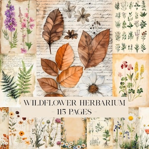Puede incluir: Un collage de ilustraciones botánicas con flores silvestres y hojas en tonos morados, rosas, verdes y marrones. El texto "WILDFLOWER HERBARIUM - 115 PAGES" se muestra. El fondo tiene una textura de papel vintage.