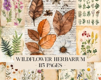 May include: A collage of botanical illustrations featuring wildflowers and leaves in shades of purple, pink, green, and brown. The text "WILDFLOWER HERBARIUM - 115 PAGES" is displayed in the center. The background has a vintage paper texture.
