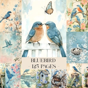 Könnte beinhalten: Eine Collage aus Aquarellillustrationen mit Blaumeisen, Schmetterlingen und floralen Elementen. Die Bilder zeigen Blaumeisen auf Ästen, ein Vogelhaus und ein Nest mit Eiern. Der Text "BLUEBIRD - 125 PAGES" wird angezeigt.