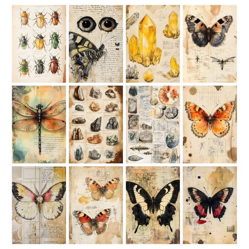 May include: A collection of twelve vintage-style prints featuring watercolor illustrations of insects, butterflies, crystals, and geological specimens. The prints have a distressed, aged paper appearance with handwritten notes and scientific diagrams.