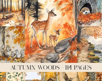 May include: A collection of watercolour illustrations depicting autumn scenes. The artwork includes a deer and fawn, squirrels, a hedgehog in a tree, and a rabbit. The colour palette features warm oranges, browns, and yellows, with the text "AUTUMN WOODS - 114 PAGES".