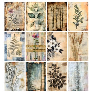 Blomarkivets skräpjournalsidor, vintage botaniskt collagepapper, vintage blomskräpjournalkit, digitala blompapper, efemera bild 8