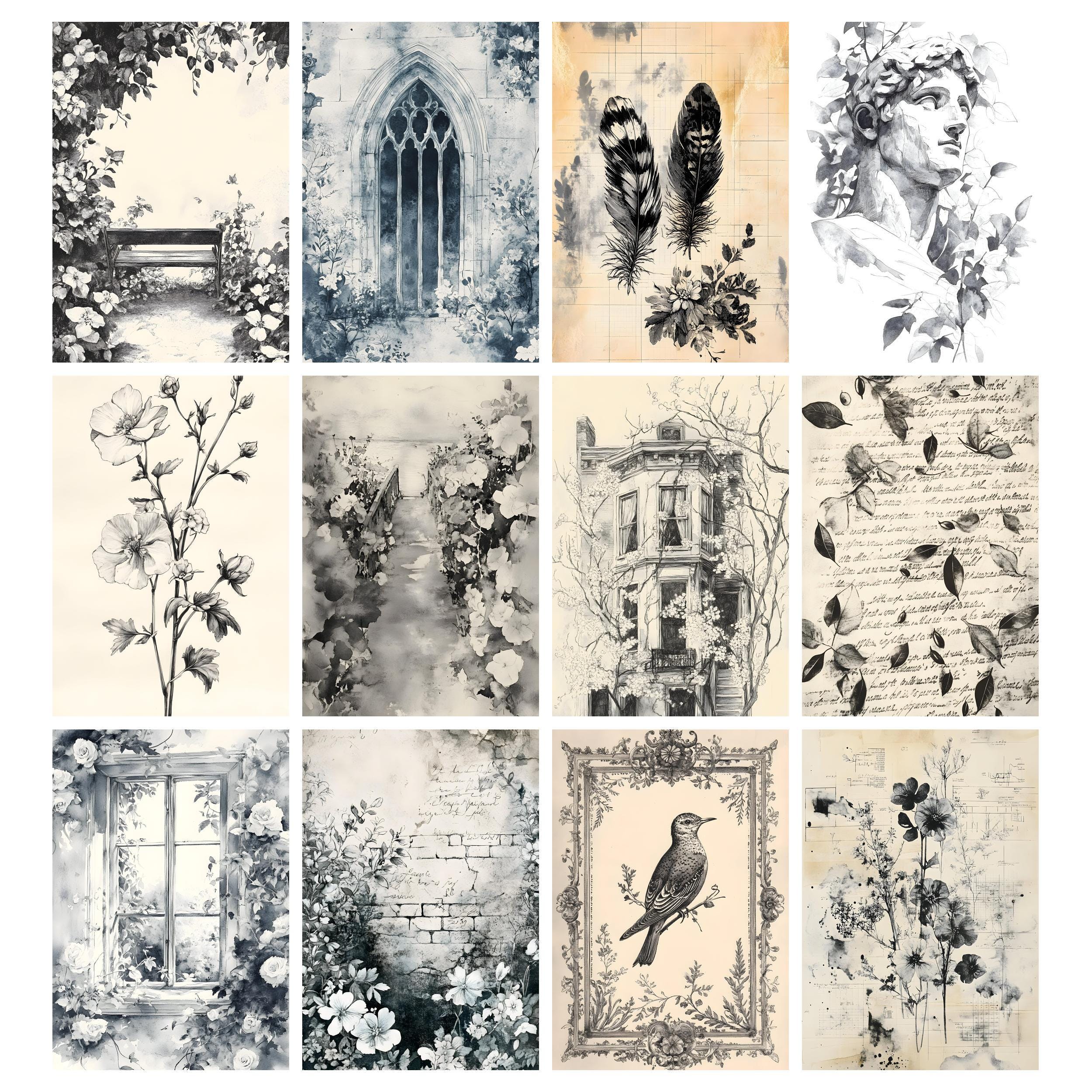 Black White Paper, Ink Saver Printable Stamp Pages, Grunge Botanical ...
