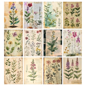 May include: A collection of botanical art prints featuring watercolor illustrations of various flowers and plants. The prints showcase detailed depictions of flora, with a vintage aesthetic. The color palette includes greens, purples, yellows, and pinks, set against aged paper backgrounds.