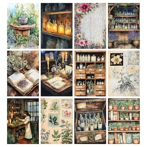 May include: A collage of watercolor illustrations depicting apothecary themes. Images include shelves of bottles, open books with herbs, a mortar and pestle, and botanical studies. The color palette is soft with greens, browns, and creams.