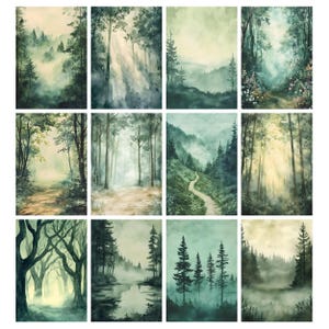 May include: A collection of twelve watercolor paintings depicting serene forest scenes. Each artwork showcases a different perspective of a misty forest, with trees, pathways, and sunlight filtering through the canopy. The color palette is dominated by greens, blues, and soft yellows.