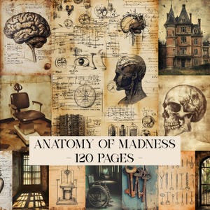 Puede incluir: Un collage de ilustraciones y bocetos de estilo vintage, que incluyen un cerebro humano, un cráneo y dibujos arquitectónicos. El texto "ANATOMY OF MADNESS - 120 PAGES" se muestra. La paleta de colores es sepia y crema.